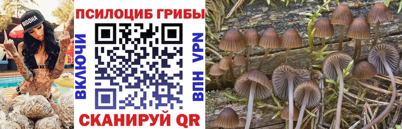 mega ONION  Калязин  Галлюциногенные грибы Psilocybe 